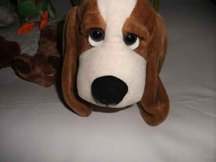 Photo of free Stuffed Toys / Bears / Dogs x 6 (ME16 - Allington) #4