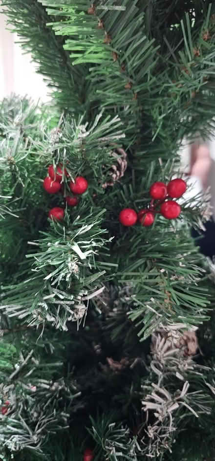 Photo of free Artificial christmas tree (Cranfield MK43) #2