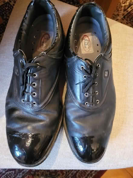 Photo of free Well used Golf Shoes (Liberton EH16) #1