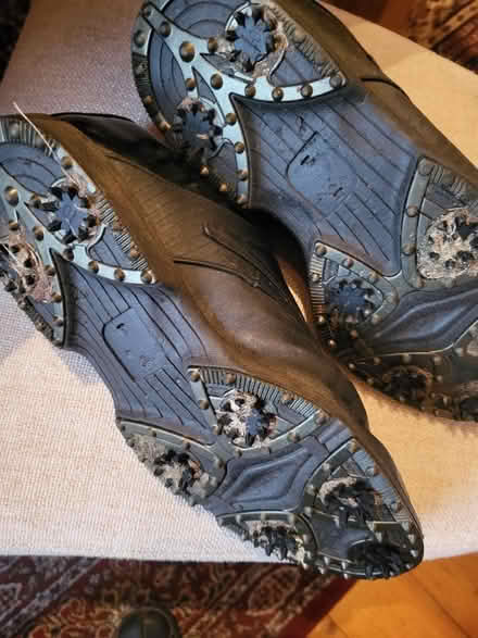 Photo of free Well used Golf Shoes (Liberton EH16) #2