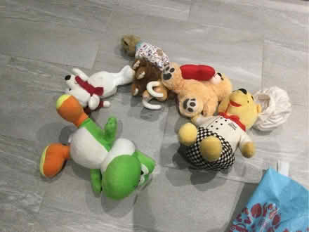 Photo of free Dogs toys (Glenrothes KY6) #1