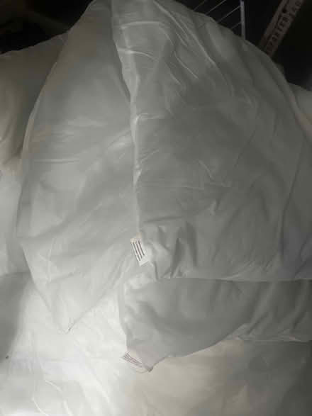 Photo of free Singe Duvet (TW19) #1