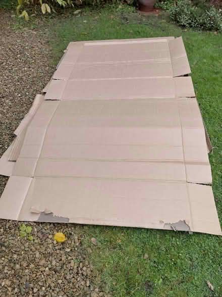 Photo of free Cardboard and polystyrene packaging (Frenchay BS16) #1