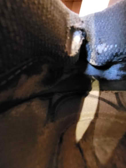 Photo of free Well used Golf Shoes (1) (Liberton EH16) #3