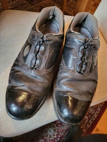 Photo of free Well used Golf Shoes (1) (Liberton EH16) #1