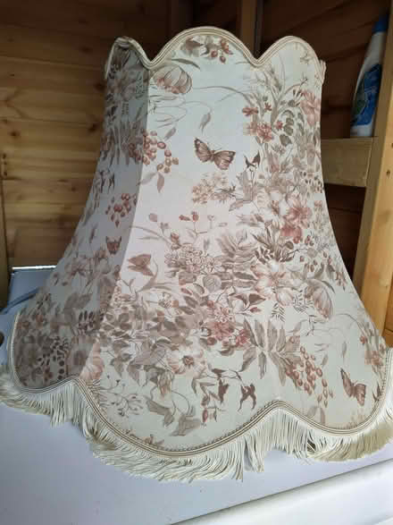 Photo of free Standard lamp with shade (Bacton NR12) #4