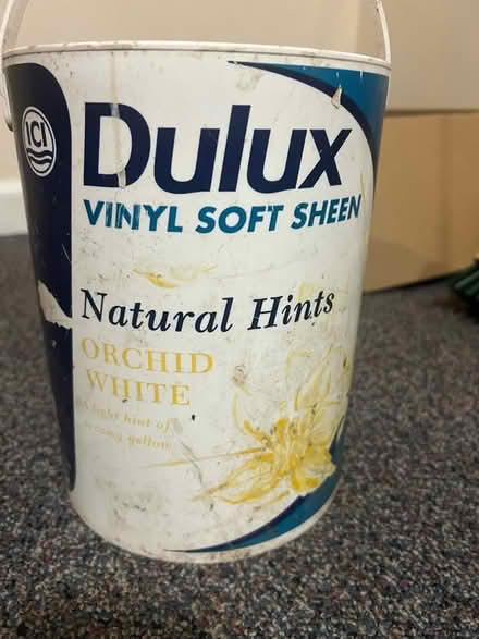 Photo of free Large Orchid white paint. Full pot. Off white (Weston) #1