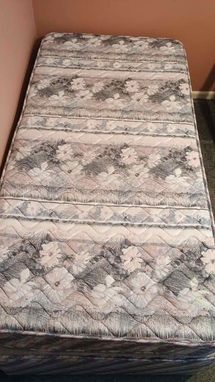 Photo of free Single Bed (IP4) #1