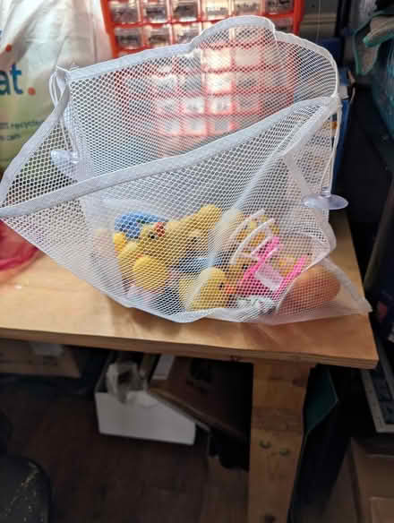 Photo of free Bath toys and net (Wallasey CH44) #1