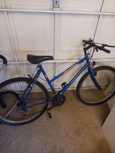 Photo of free Mens Bicycle. (Whitelea NE23) #2