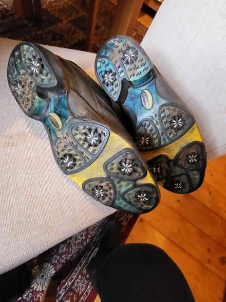Photo of free Well used Golf Shoes (1) (Liberton EH16) #2