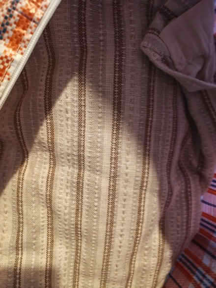 Photo of free Full length curtains (BN2 4PL) #1