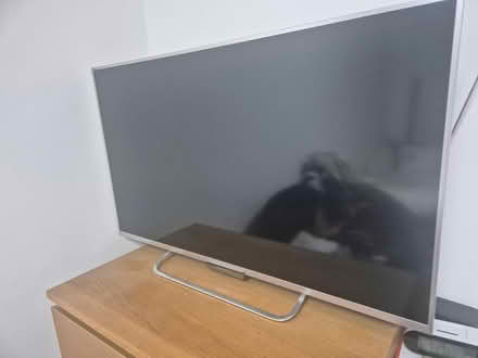 Photo of free Sony bravia 42" damaged screen (UB5 Northolt) #1
