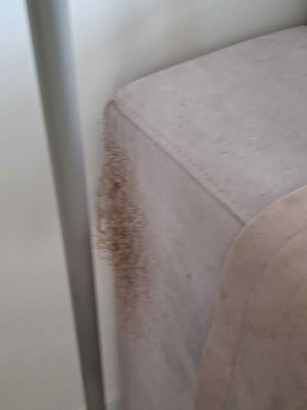 Photo of free Sofa 4 seater (Mairangi Bay) #4