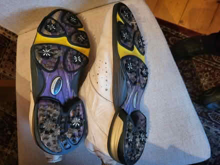 Photo of free Well used Golf Shoes (Liberton EH16) #2