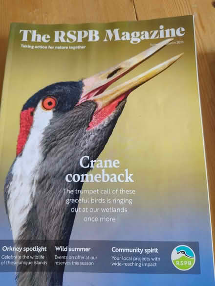 Photo of free RSPB magazines (IP4) #1