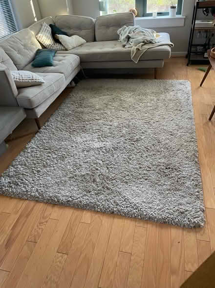 Photo of free Carpet 5.2’ x 7.7’ (South Maple Ave) #1