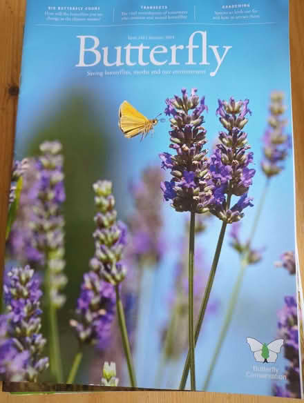 Photo of free Butterfly Conversation magazines (IP4) #1