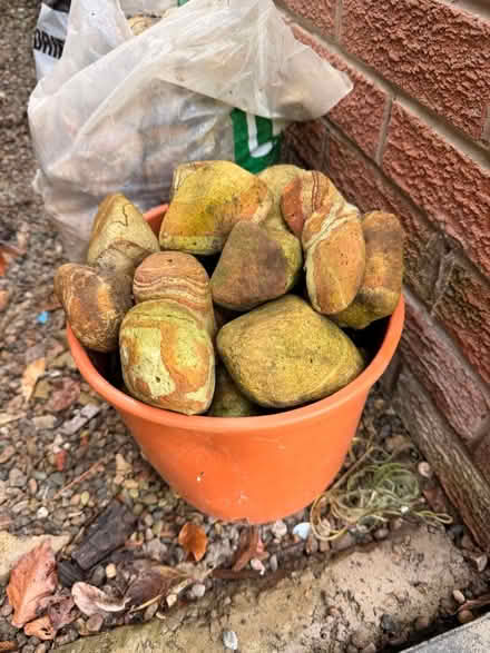 Photo of free River Pebbles (Lower Penwortham PR1) #1