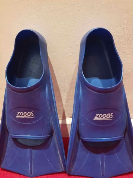 Photo of free Blue Zoggs Swimming Fins (Townsend AL3) #1