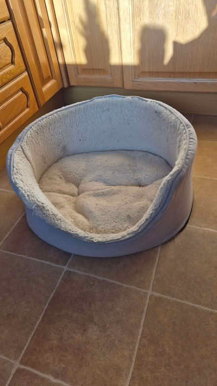 Photo of free Dogs bed (Royal Wootton Bassett SN4) #1