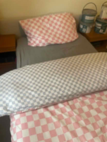 Photo of free Single bed (Leegomery TF1) #1