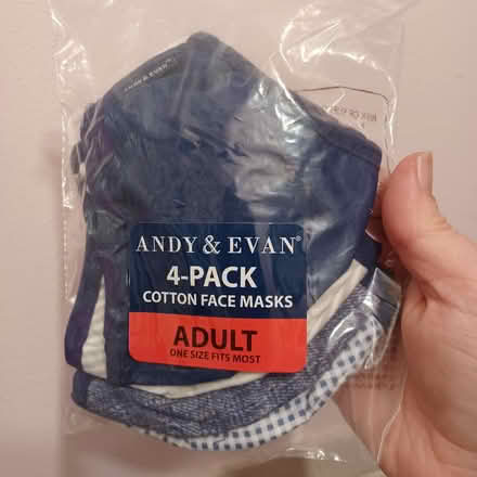 Photo of free Cotton face masks x4 (Travis Heights) #1