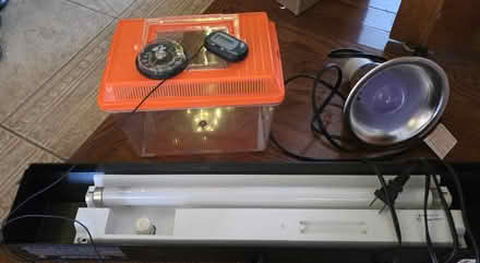 Photo of free Cold blooded animals supplies (Streamwood) #1