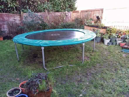 Photo of free c10ft TP Trampoline, old but good condition (Hemyock EX15) #3