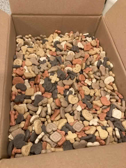 Photo of free Dog biscuit shapes (Horley) #1