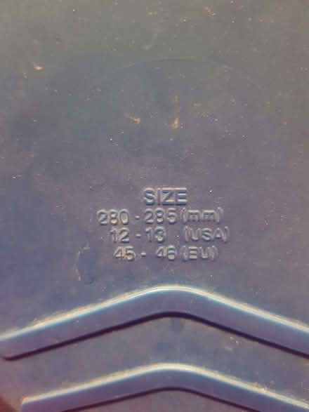 Photo of free Blue Zoggs Swimming Fins (Townsend AL3) #2