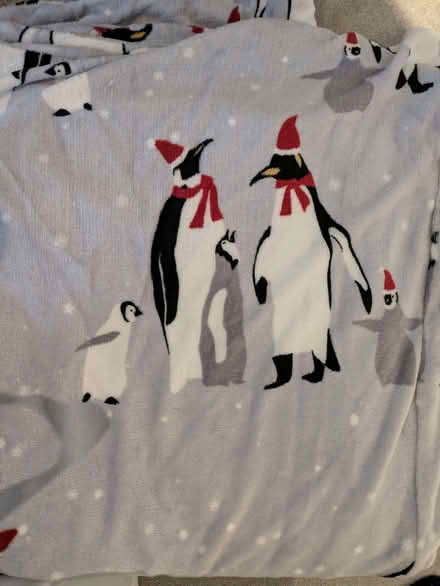 Photo of free Christmas Penguin Duvet Cover & 2 Pillowcases (Twickenham TW1) #1