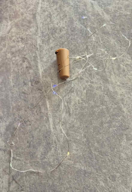 Photo of free String of lights (Leigh Park PO9) #2