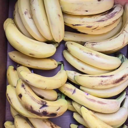 Photo of free Ripe Bananas (Chiquita Av MtnVw) #1