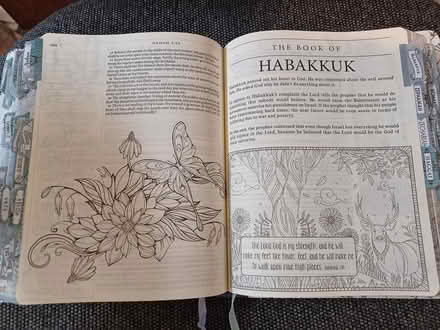 Photo of free KJV Bible (Travis Heights) #4