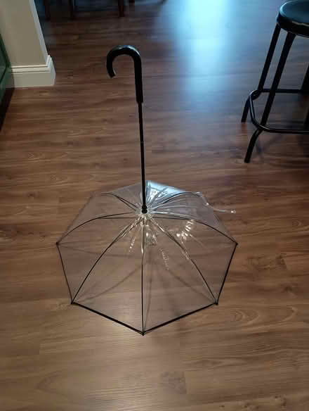 Photo of free Dog Umbrella with Leash (Livonia (5 and Inkster)) #2