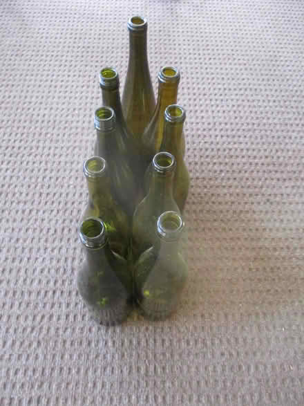 Photo of free bottles for bottle gardens (casselberry) #1