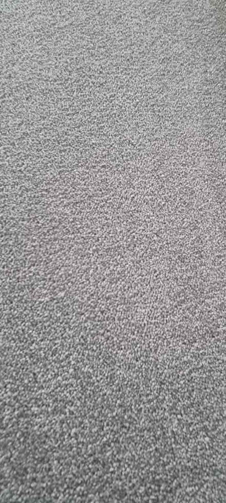 Photo of free Brand new premium carpet (Wallingford) #1