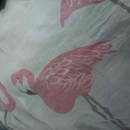 Photo of free Old duvet cover - damaged (Fishwick PR1) #1