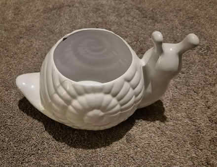 Photo of free Snail Planter (Handforth SK9) #2