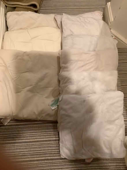 Photo of free 9 cushions no filling (Lower Dunsforth YO26) #1