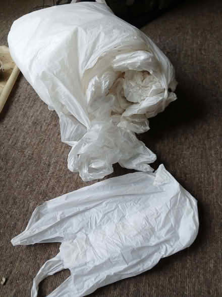 Photo of free Carrier bags (West Hill TN34) #1