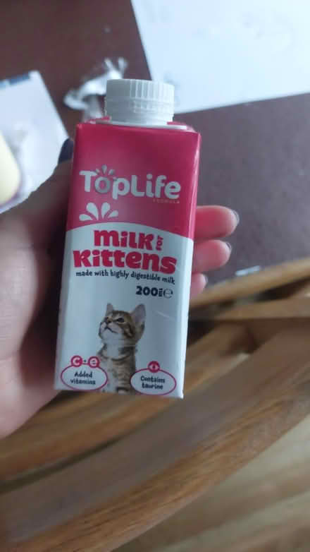 Photo of free Kitten milk (Flackwell heath HP10) #1