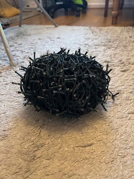 Photo of free Christmas Lights (Hull HU5) #1