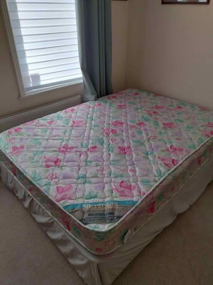 Photo of free Two beds for collection: 1 single, 1 double (CT19) #1