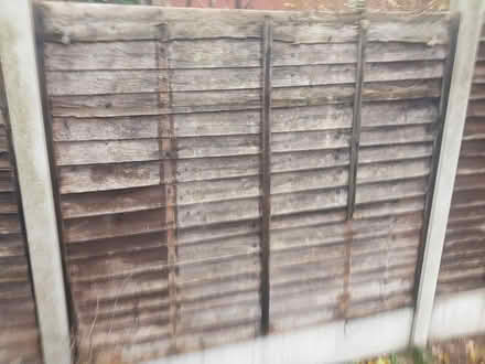 Photo of free old fence panels (aston fields B60) #4