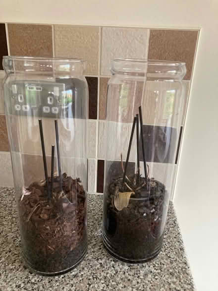 Photo of free Two Orchid Jars (DA13) #1