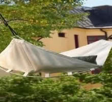 Photo of free Ikea Hammock (Comely Bank EH4) #1