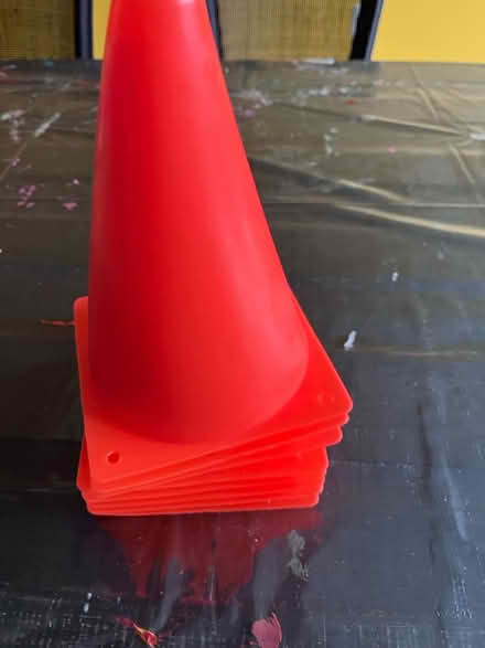 Photo of free 8 small cones (Bethesda) #1