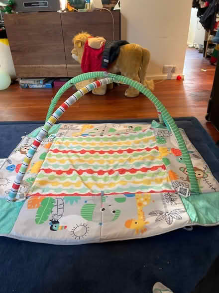 Photo of free Bright Starts baby mat (Dartmouth Park NW5) #1